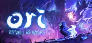 Ori and The Will of the wisps Crack